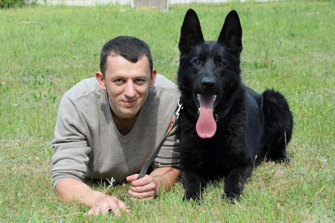 Szkolenie Psów Gniezno K9 Dex Szkolenia Psa w Gnieźnie Trener Treser, wielkopolskie