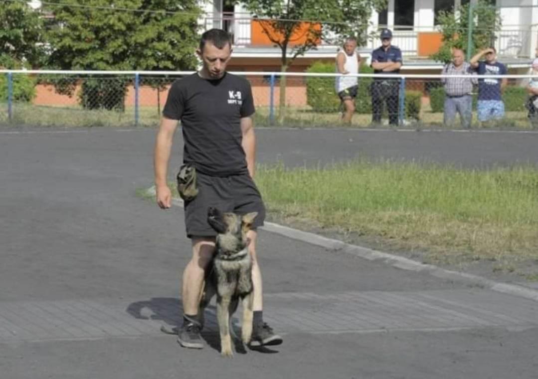 Szkolenie Psów Gniezno K9 Dex Szkolenia Psa w Gnieźnie Trener Treser, wielkopolskie