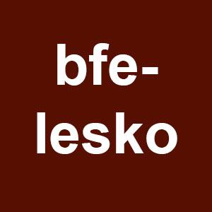 Organizacja eventów i wydarzeń - bfe-lesko, Warszawa, mazowieckie