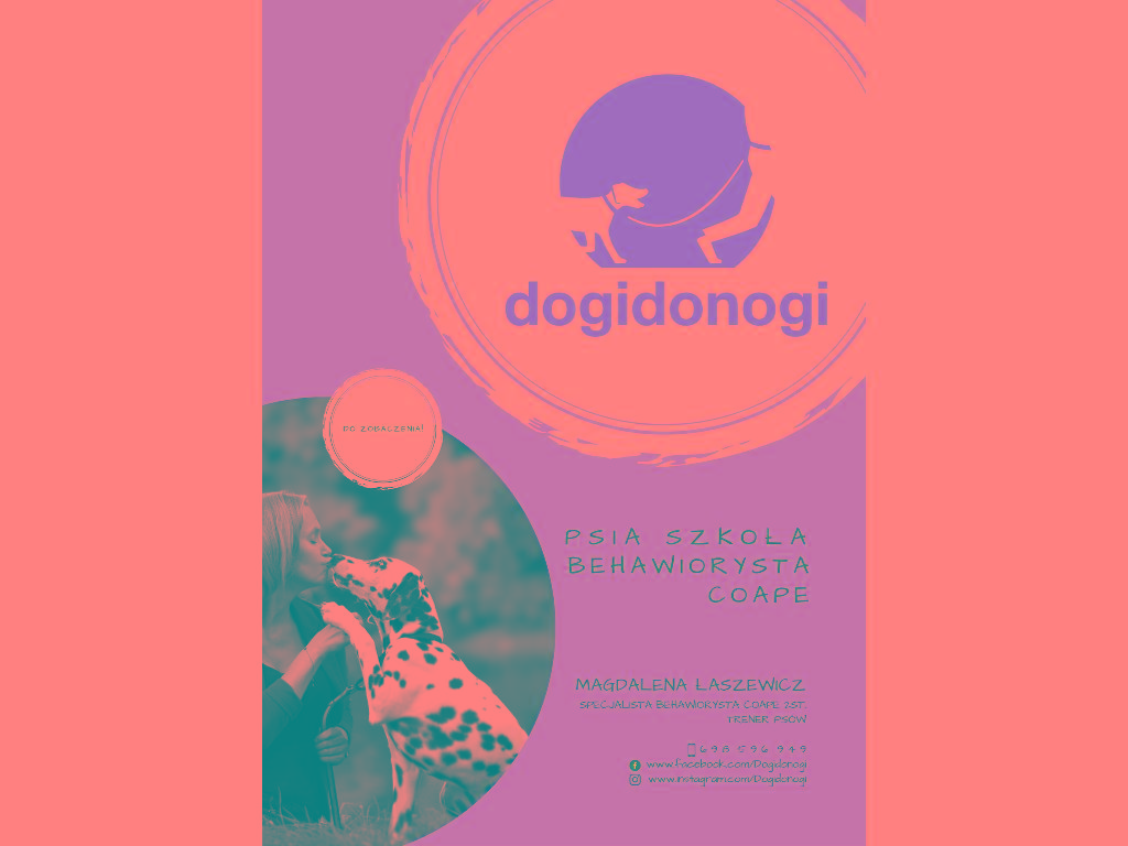 Dogidonogi. Szkolenie psów. Behawiorysta COAPE. Warszawa, Warszawa , mazowieckie