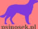 Szkolenie psów indywidualne i grupowe Zakopane i okolice.