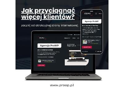 Agencja ProWP - tworzenie stron internetowych - kliknij, aby powiększyć