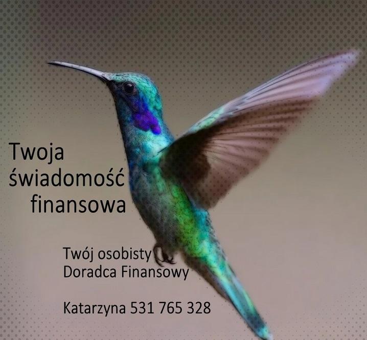 Twoja Świadomość Finanasowa