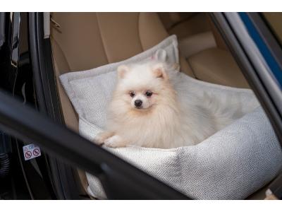 fotelik do auta dla psa - kliknij, aby powiększyć
