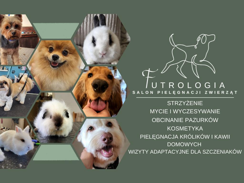 FUTROlogia - Psi Fryzjer, Groomer Poznań, wielkopolskie