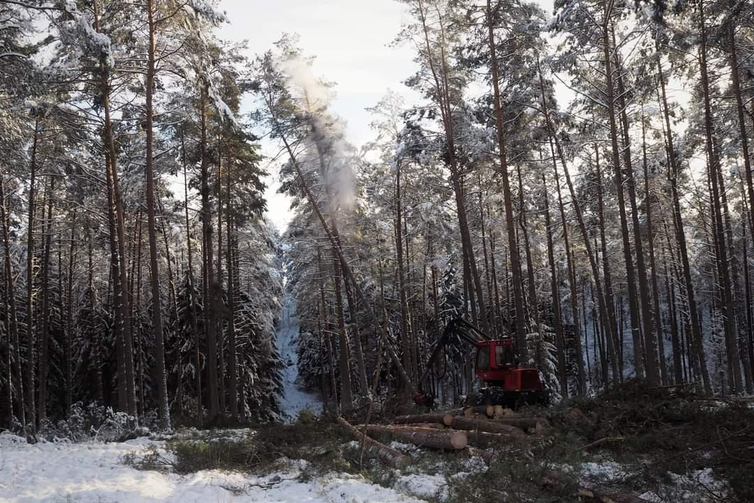 Wycinka drzew, krzaków. Rowy melioracyjne. Wykopy., Gdańsk, Bytów, Kościerzyna, Miastko, Chojnice, pomorskie