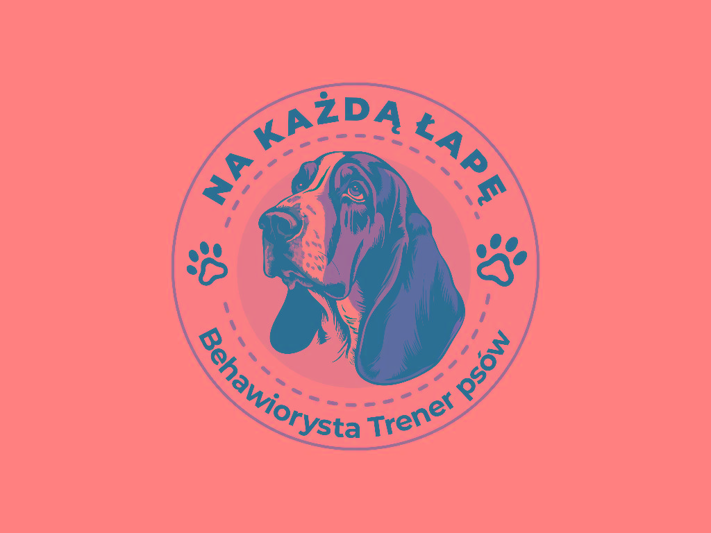 Trener psów behawiorysta zoopsycholog psie przedszkole spacery opieka, Kraków, małopolskie