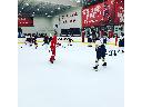 Hokej na lodowisku syntetycznym przez cały rok