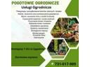 Usługi Ogrodnicze i sprzątające, Toruń