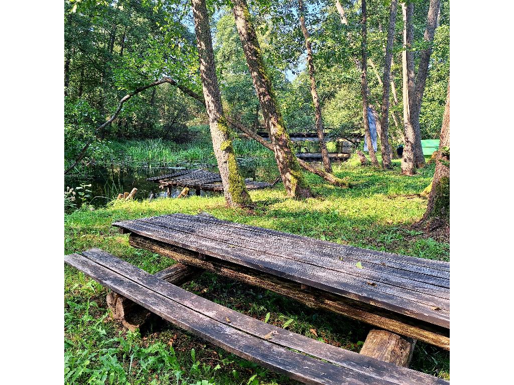 Kajakarnia Gądków Wielki - Camping, Domki nad Pliszką, lubuskie