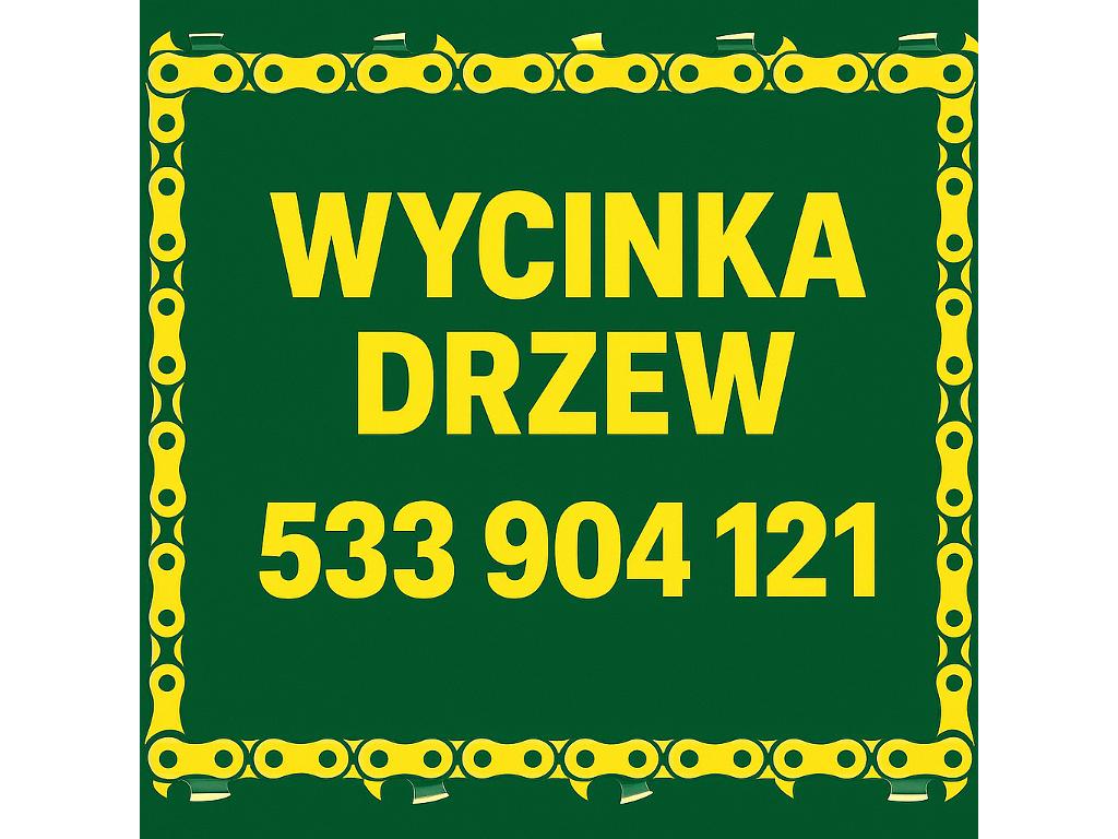 Wycinka drzew Poznań i okolice, wielkopolskie