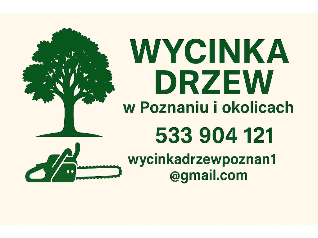 Wycinka drzew Poznań i okolice, wielkopolskie
