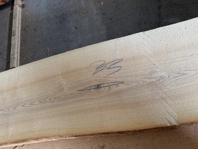 Zdjęcie nr 1 - kliknij, aby powiększyć