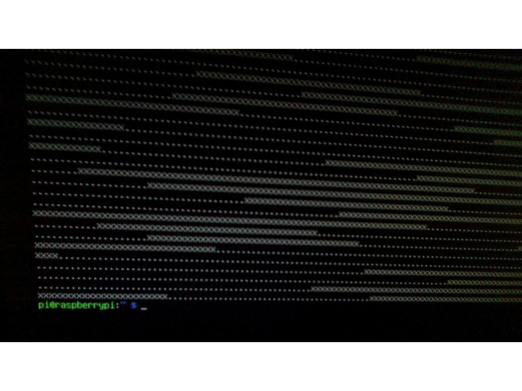 fot. 1 (vide opis usługi)