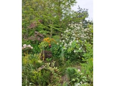 aranżacja ogrodów - kliknij, aby powiększyć