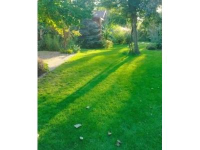 strzyżenie trawników - kliknij, aby powiększyć