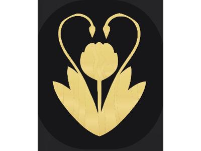 Zdjęcie nr 1 - kliknij, aby powiększyć