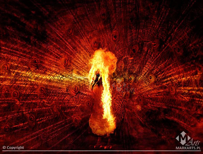 Fenix - Grafika wykonana w Adobe Photoshop