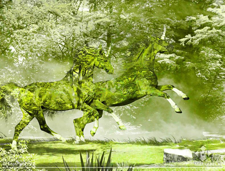 Jednorożce - Grafika wykonana w Adobe Photoshop