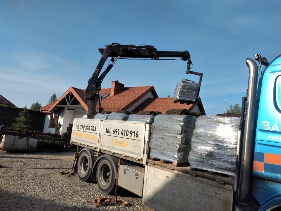 trawa z rolki pieniężno
