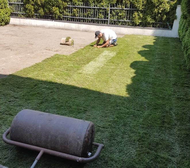 zakładanie ogrodu