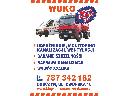 Zdjęcie nr 7