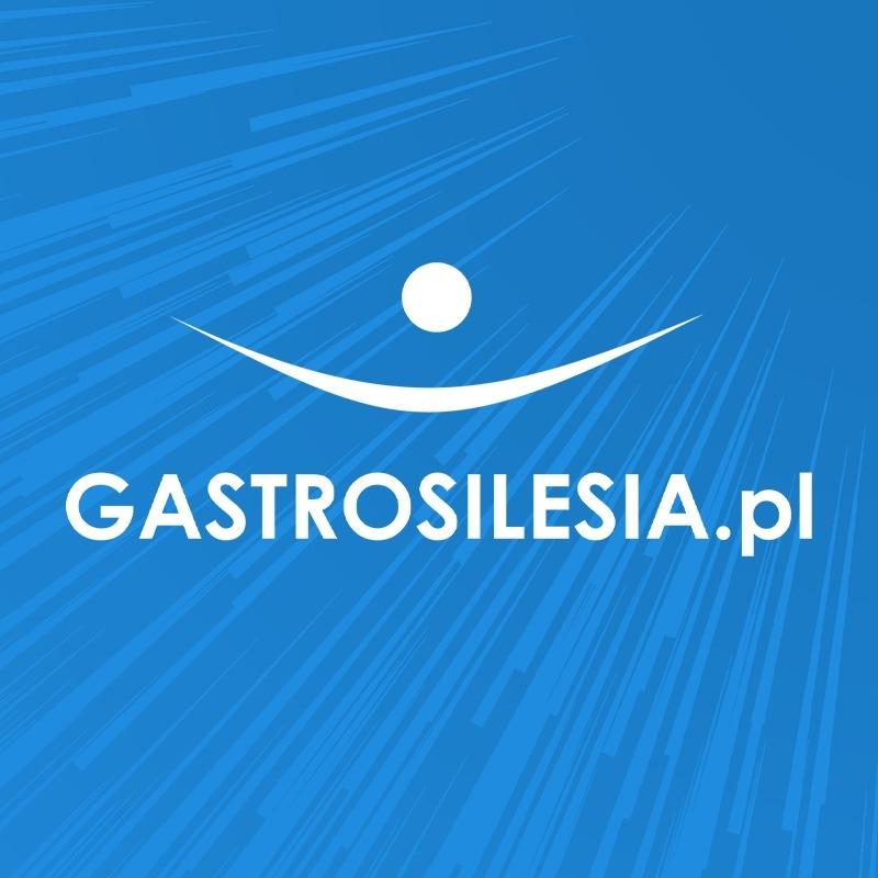 Gastrosilesia.pl - Weindich Sp. z o.o., Chorzów, śląskie