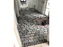 Zdjęcie nr 12