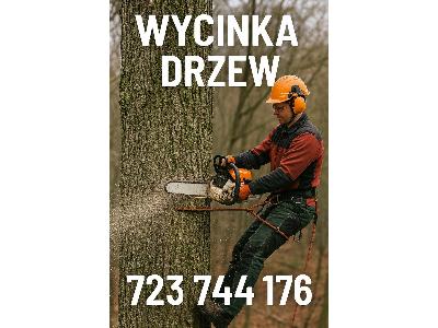 Wycinka drzew, Koszenie trawników wykaszarką, czyszczenie działek 
