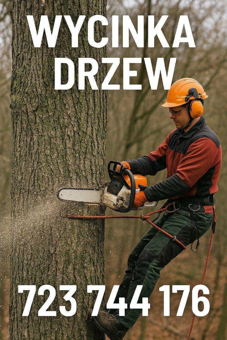 Wycinka drzew, Koszenie trawników wykaszarką, czyszczenie działek , Nowa wieś , kujawsko-pomorskie