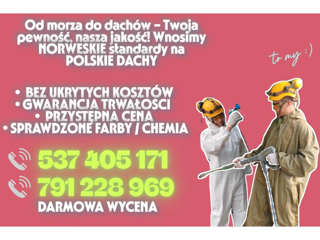 Malowanie DACHÓW i ELEWACJI  Mycie ciśnieniowe, Mielec , Szczucin , Tarnów, podkarpackie