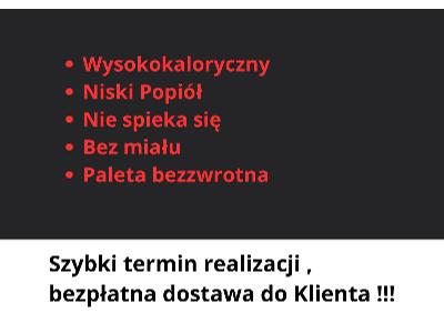 Zdjęcie nr 1 - kliknij, aby powiększyć