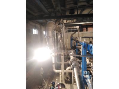 Zdjęcie nr 6 - kliknij, aby powiększyć