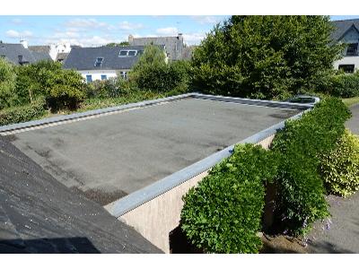 Zdjęcie nr 1 - kliknij, aby powiększyć