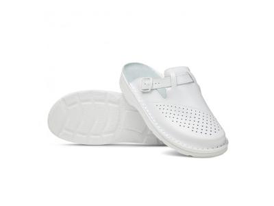 Zdjęcie nr 1 - kliknij, aby powiększyć