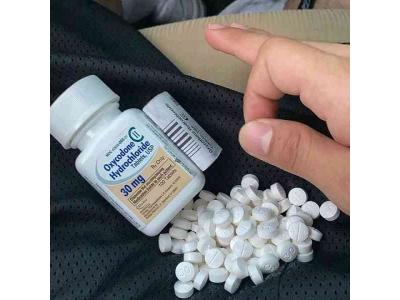 Zdjęcie nr 1 - kliknij, aby powiększyć