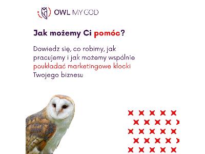 Strategia marketingowa i doradztwo marketingowe - Owl My God, cała Polska