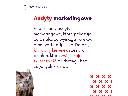 Audyty Marketingowe na Favore